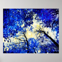 China blue, Nature photography, blue trees, moon