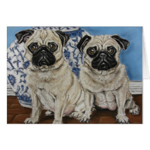 China Blue Pugs
