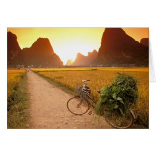 China, Guangxi. Yangzhou, Bicycle on country