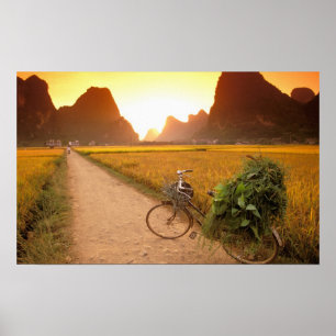 China, Guangxi. Yangzhou, Bicycle on country Poster