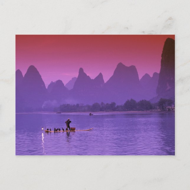 China, Guanxi. Li river single cormorant Postcard (Front)