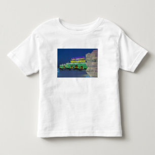 CHINA, Heilongjiang Province, Haerbin (Harbin). Toddler T-Shirt