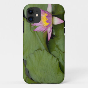 China, Hong Kong, New Territories. Chi Lin Case-Mate iPhone Case