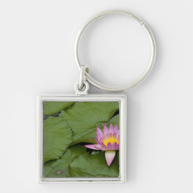 China, Hong Kong, New Territories. Chi Lin Key Ring (Front)