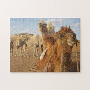 China, Inner Mongolia, Badain Jaran Desert 2 Jigsaw Puzzle