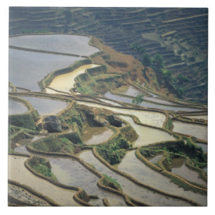 China, Yunnan Province. Flooded rice terraces of Tile