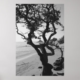 Chinaman's Hat Poster