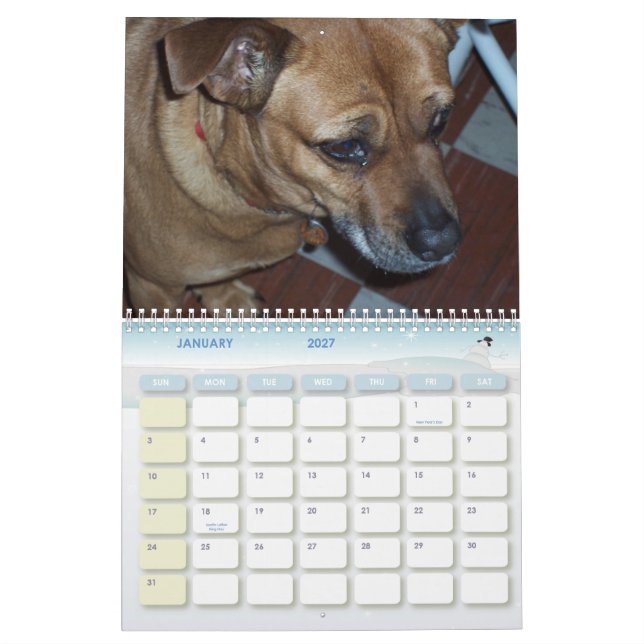 China's Dog Days 2010 Calendar (Jan 2027)