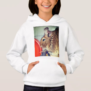 Chinchilla 