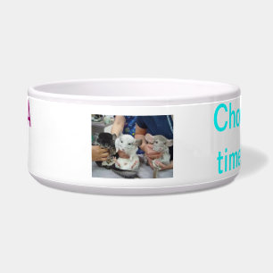 chinchilla food