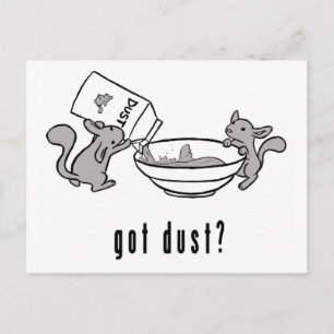 Chinchilla Got Dust Postcard
