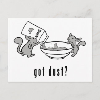 Chinchilla Got Dust Postcard