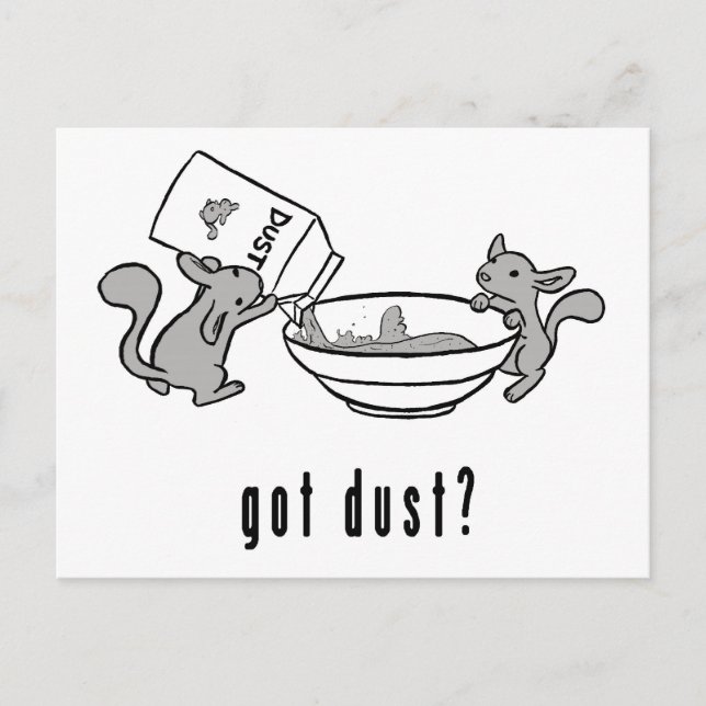 Chinchilla Got Dust Postcard (Front)