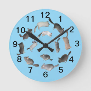 Chinchilla jumping clock