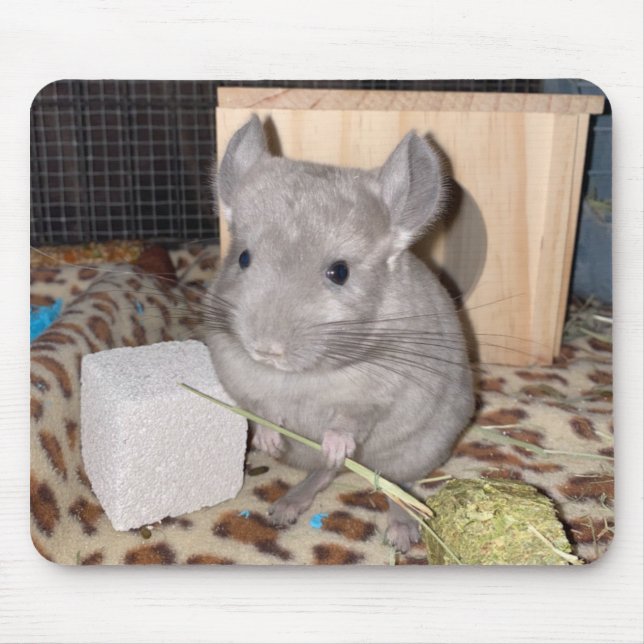chinchilla mouse pad (Front)