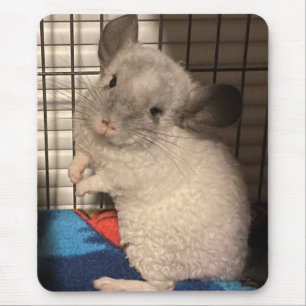 chinchilla mouse pad