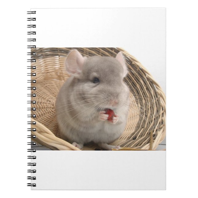 chinchilla notebook (Front)