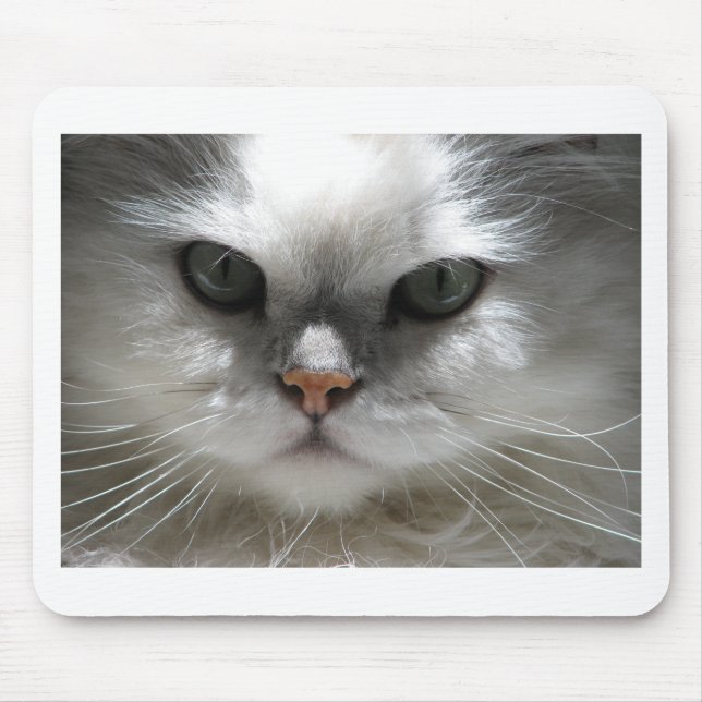 Chinchilla Persian Cat Mouse Pad (Front)