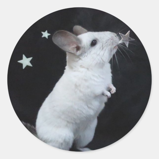 Chinchilla star classic round sticker (Front)