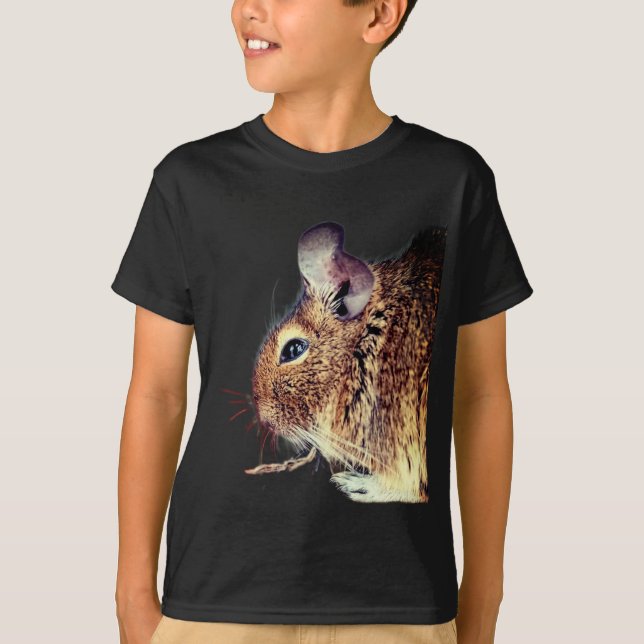 Chinchilla T-Shirt (Front)
