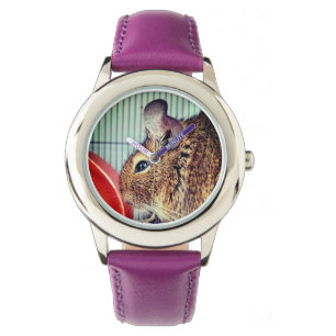 Chinchilla Watch