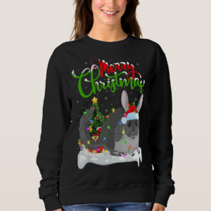 Chinchilla Xmas Decorations Santa Chinchilla Chr Sweatshirt