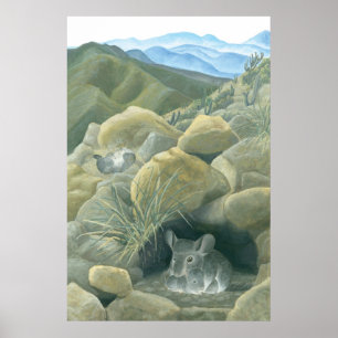 Chinchillas in the Wild Poster