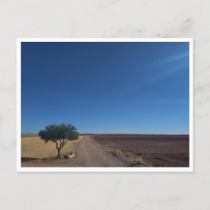 Chinchon (Spain) Postcard