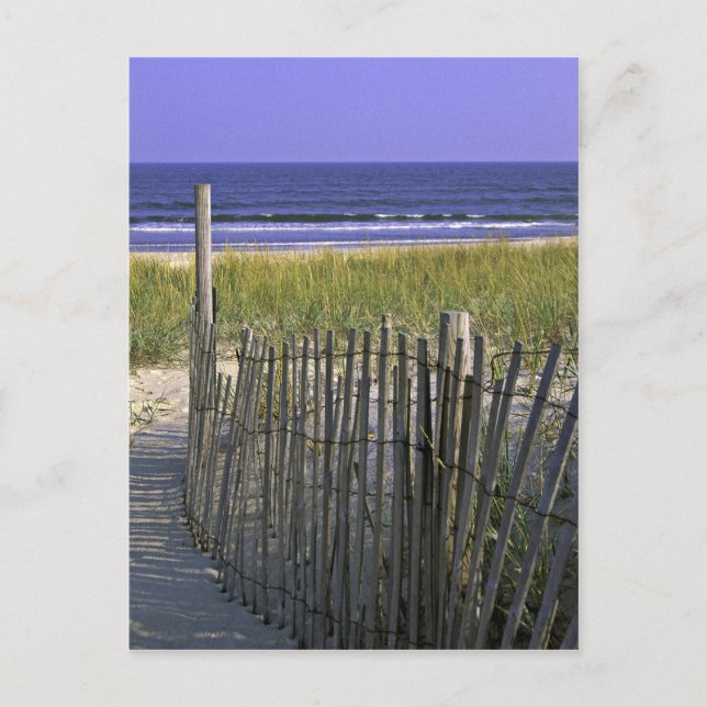 Chincoteague National Wildlife Refuge Postcard (Front)