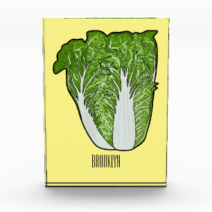 Chinese cabbage cartoon illustration photo block