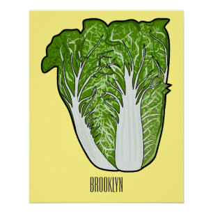 Chinese cabbage cartoon illustration  poster