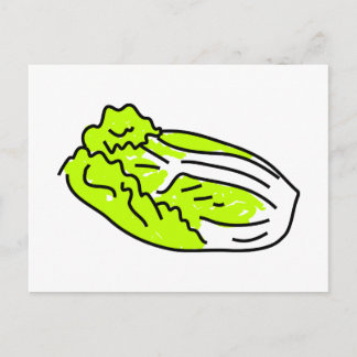 Chinese cabbage postcard