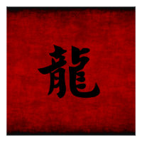 Chinese Calligraphy Symbol for Dragon in Red