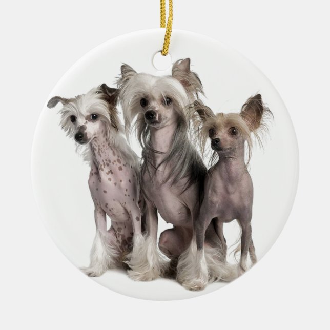 Chinese Crested Ceramic Tree Decoration (Front)