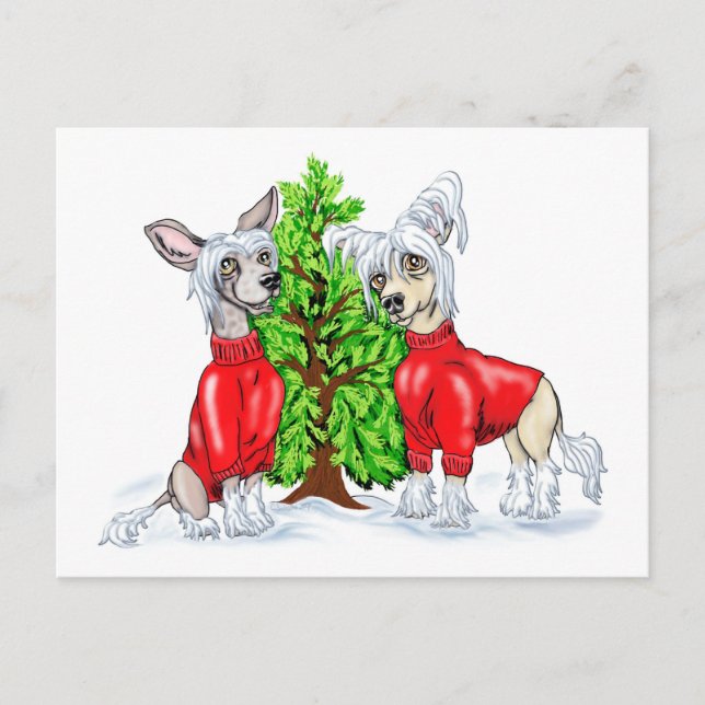 Chinese Crested Christmas Tree Holiday Postcard (Front)