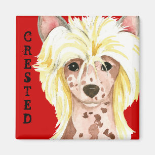 Chinese Crested Color Block Magnet