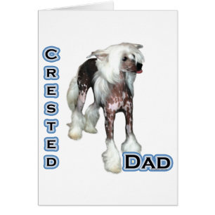 Chinese Crested Dad 4