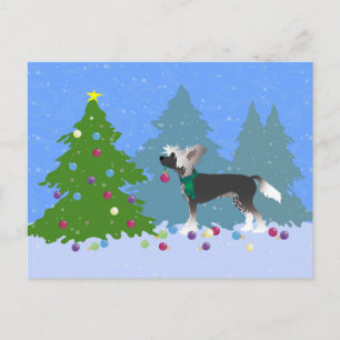 Chinese Crested Decorating a Christmas Tree Holiday Postcard