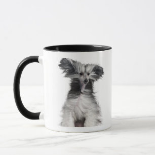 Chinese Crested Dog (15 months old) in the wind Mug