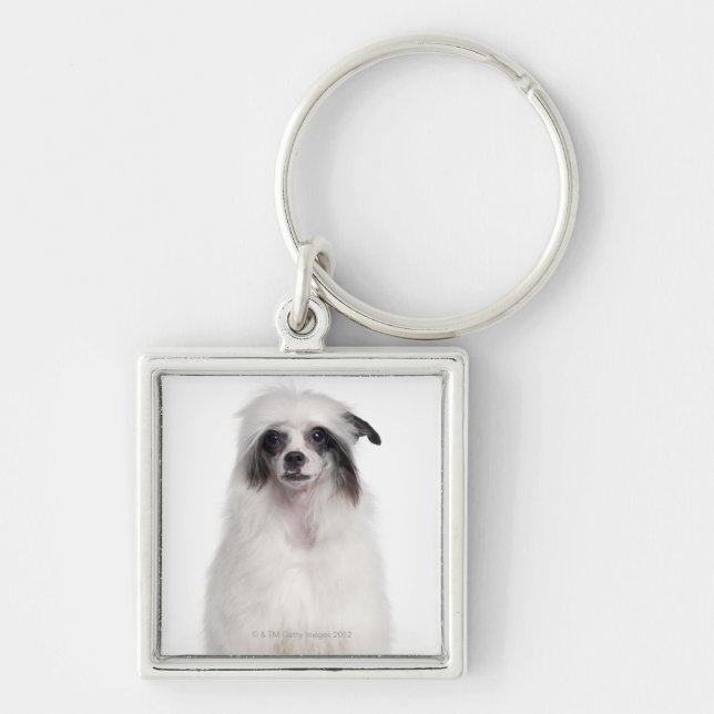 Chinese Crested Dog (7 months old) Key Ring (Front)