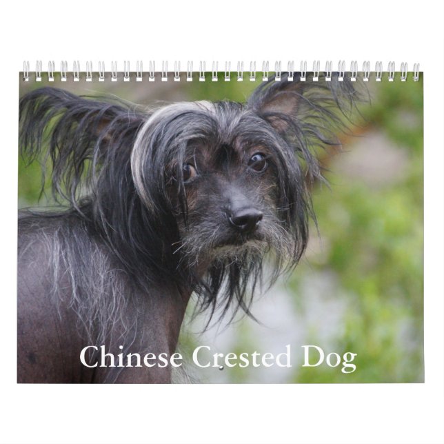 Chinese Crested Dog Calendar (Cover)