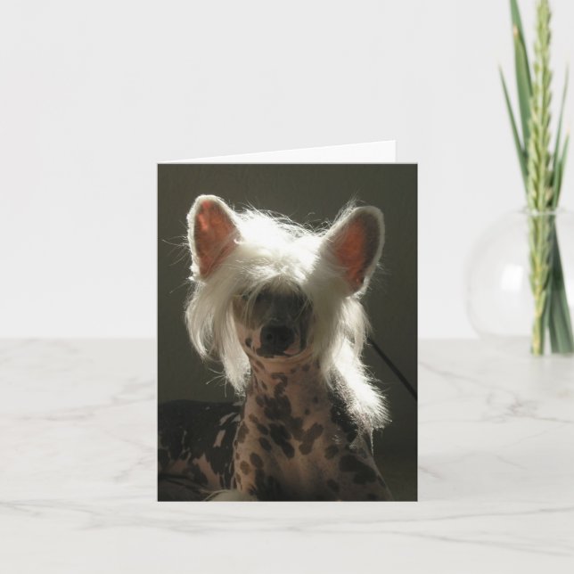 Chinese Crested dog Card (Front)