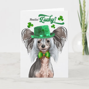 Chinese Crested Dog Feelin' Lucky St Patrick's Day Holiday Card