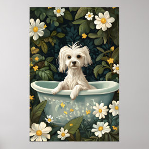 Chinese Crested Dog In Bathtub Poster, Funny Dog Poster