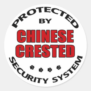 Chinese Crested Dog Security Classic Round Sticker