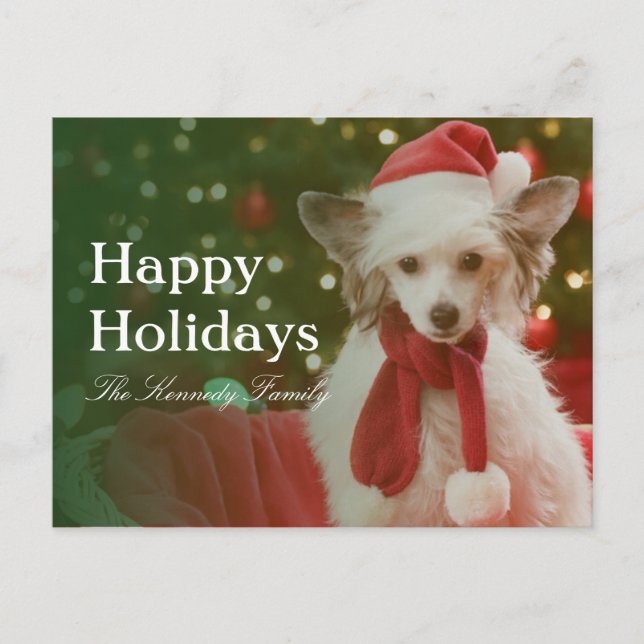 Chinese Crested Dog sitting in basket decorated Holiday Postcard (Front)