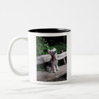 Chinese Crested Dog Two-Tone Coffee Mug