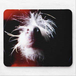 Chinese Crested Fisheye Mouse Pad