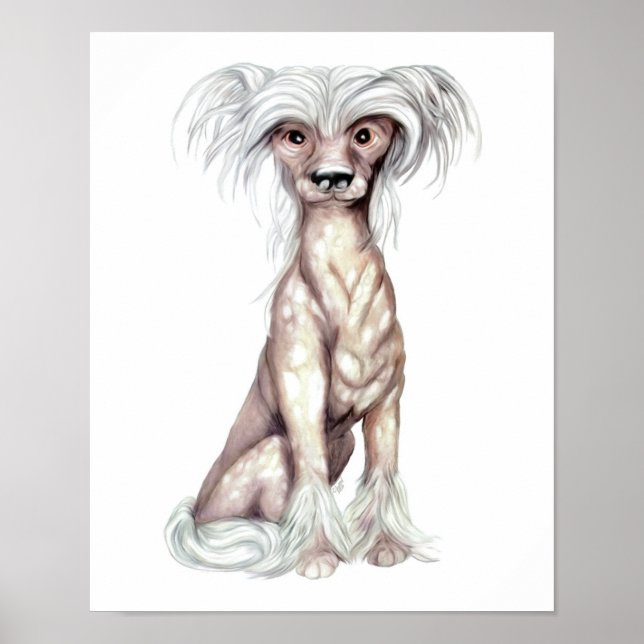 Chinese Crested Hairless Poster (Front)
