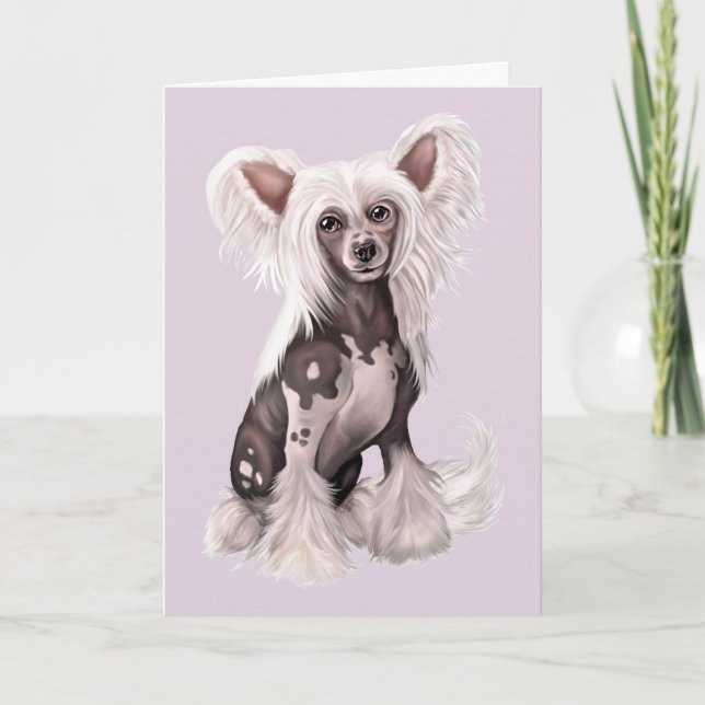 Chinese Crested Hairless Sit Card (Front)